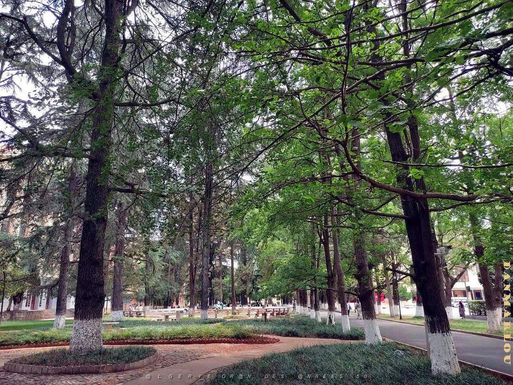 Kunming - Universite du Yunnan (54).jpg
